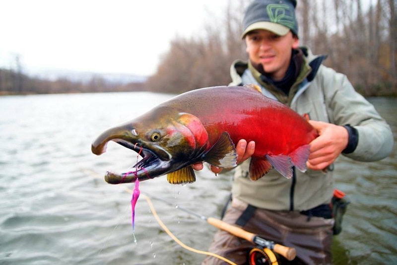 There are now 116 fishing sites available in Kamchatka.