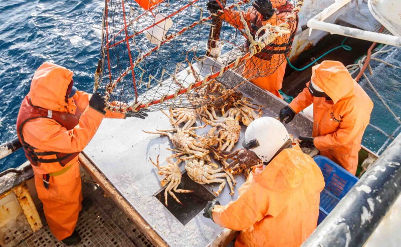 Crab fishing is growing off the coast of Kamchatka