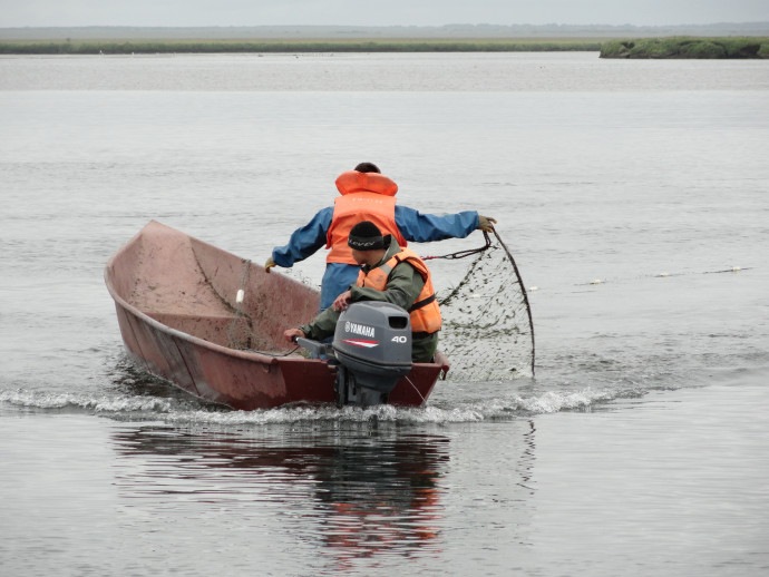 Salmon and nets: fishing rules in Kamchatka may be changed