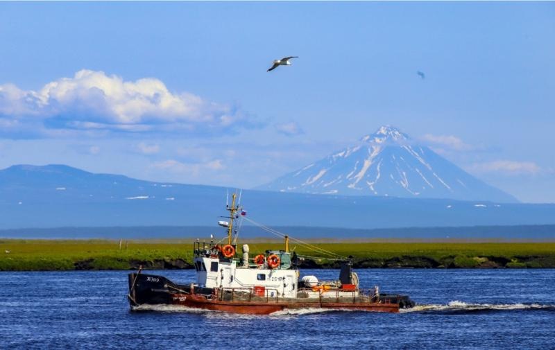 Kamchatka’s fishing industry is under threat: MPs ask for postponement