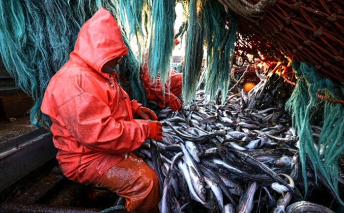 Kamchatka’s fishing business has narrowed its export geography