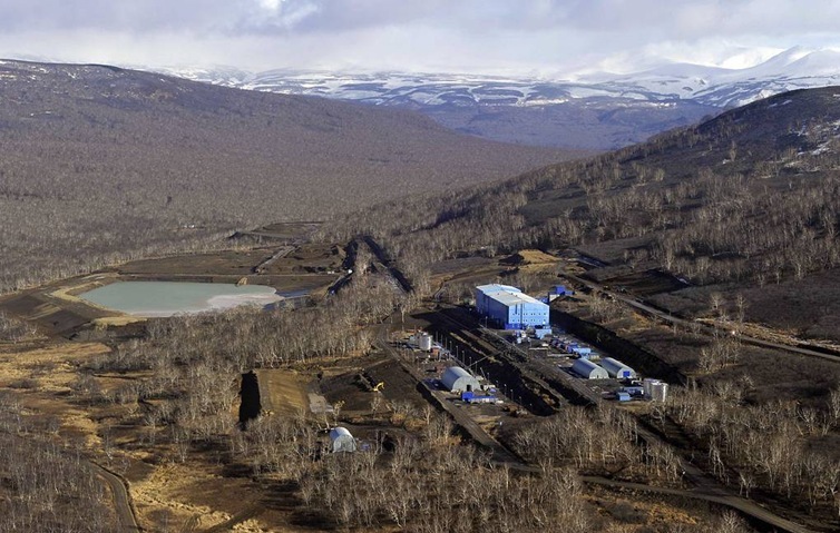 Organic matter was involved in the formation of gold deposits in Kamchatka