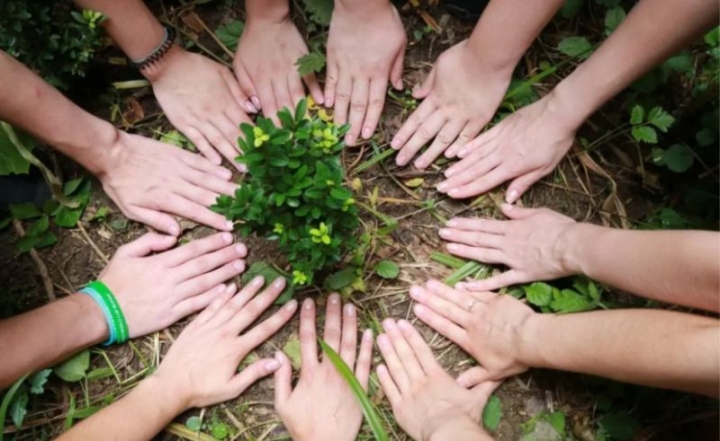 “Green Spring”: BEAC launched a new season of eco-volunteering