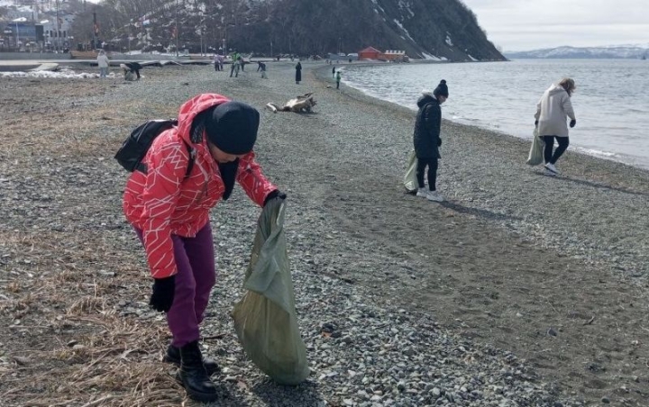 The coast of Avacha Bay was cleared of debris in Petropavlovsk