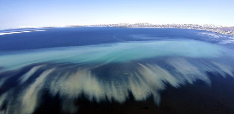 Kamchatka herring stocks: air accounting will determine catch volumes in 2027