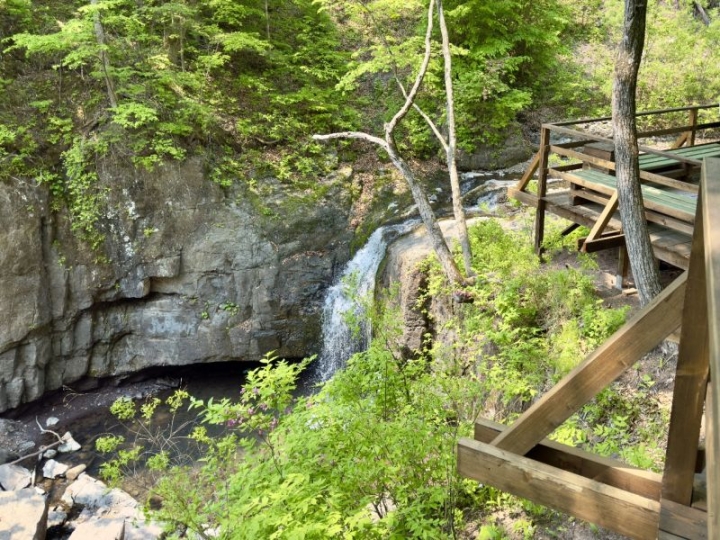 VTB has opened a new ecotrope in the national park “Land of the Leopard”