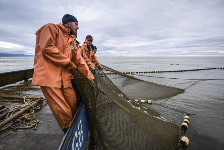 Kamchatka has defined the rules and deadlines for salmon fishing in 2025