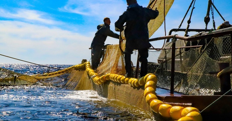 Fishing areas: long-term rentals, short-term benefits?
