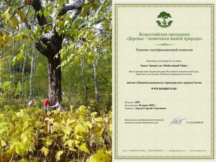 Residents of Kamchatka are invited to vote for the Pushchinsky keeper of antiquity
