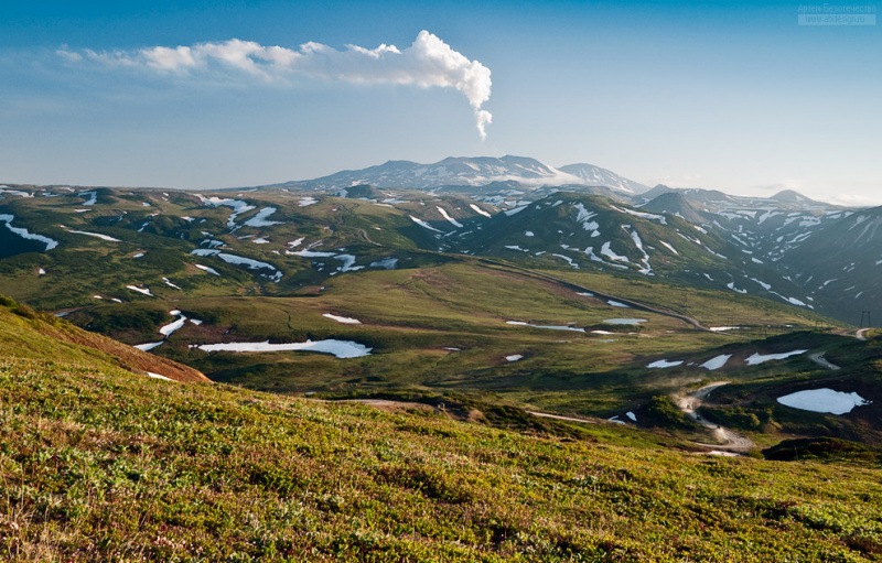 Kamchatka lichens “help” volcanoes pollute rivers with metals