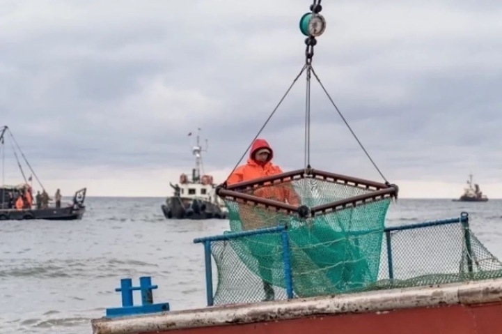 Kamchatka’s large fishing areas are being auctioned off