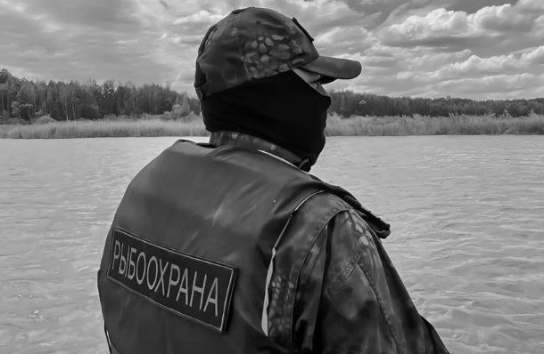 Kamchatka poachers were fined 630 thousand rubles in a week.