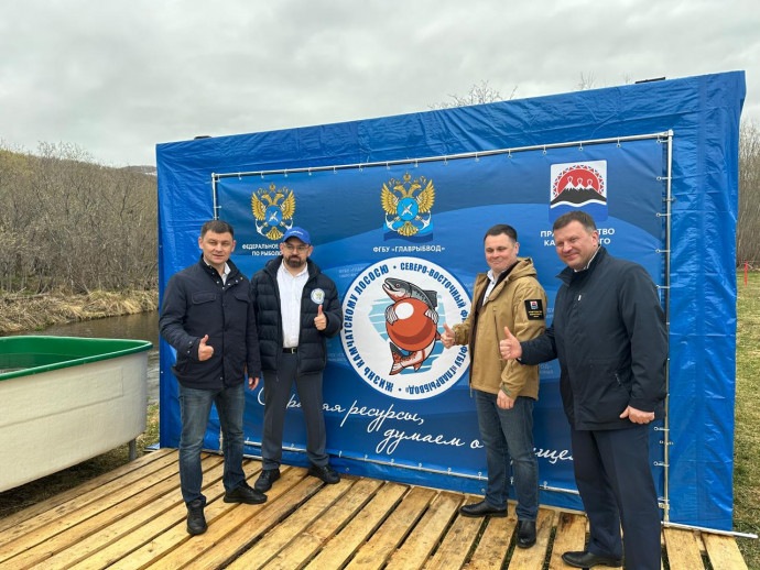 15,000 salmon fry were released in Kamchatka as part of the eco-project.