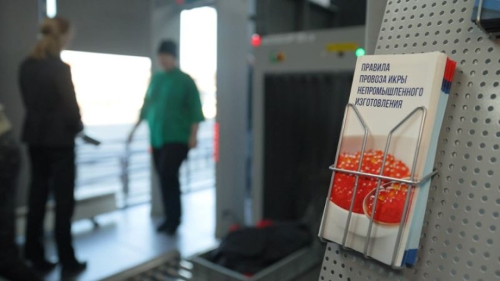 During the week, air passengers exported 2.1 tons of unmarked caviar from Kamchatka.