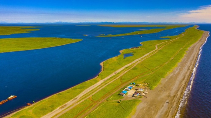 Salmon price: 2026 will determine the future of the salmon business
