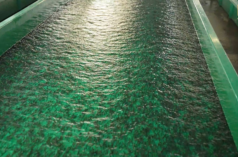 Life for Kamchatka salmon: juvenile chum salmon released into Avacha