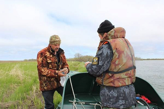 Poachers in Kamchatka are caught by 23 operational groups of fish inspectors
