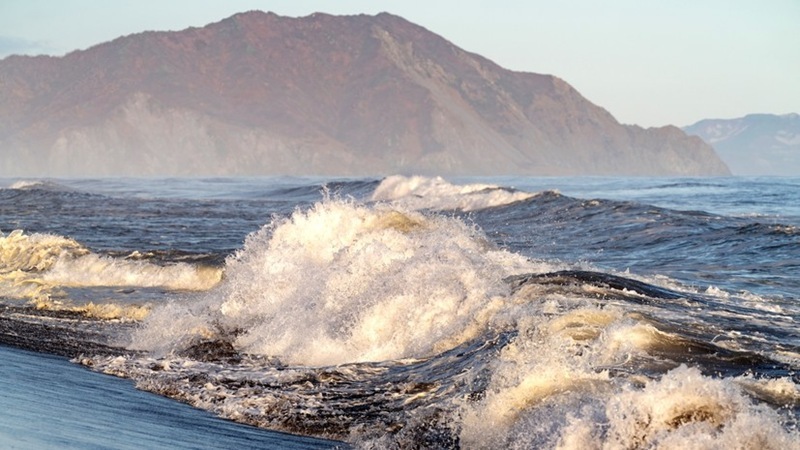 Kamchatka ecosystem revives after the “red tide” of 2020