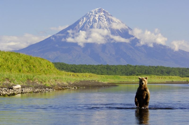 VTB and the Nature Defenders Fund will create a system to support protected areas