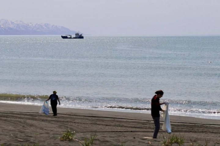 The coast of Kamchatka Bay was cleared of debris