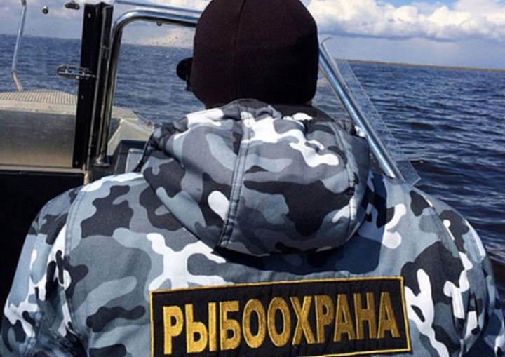 17 operational groups of fish inspectors are catching poachers in Kamchatka.