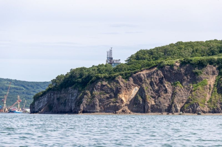 Algae blooming in Avacha Bay in Kamchatka are being tested for toxicity