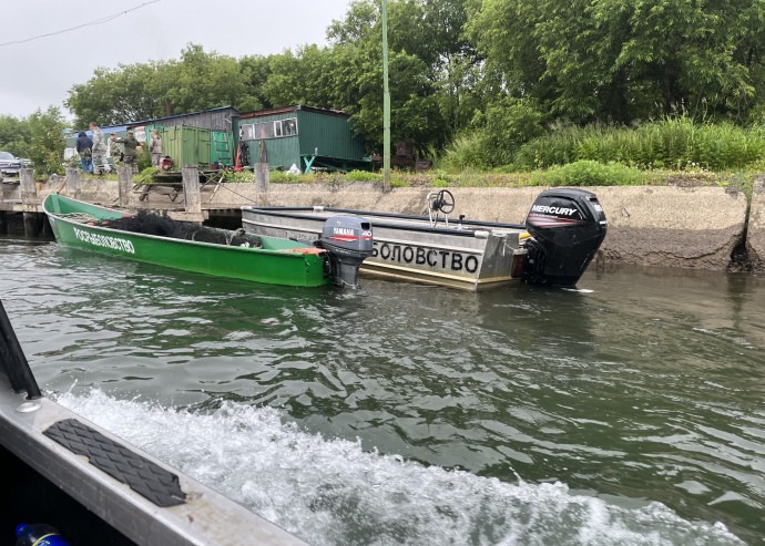 Kamchatka Governor demands to stop salmon fishing on the Paratunka River
