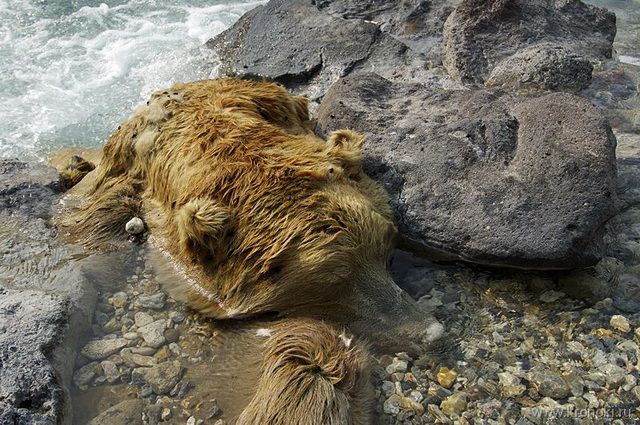 Kamchatka’s Lethal Secret: The Valley of Death