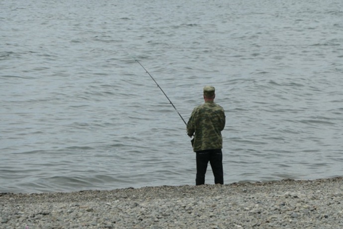 Kamchatka discusses the possibility of free pink salmon fishing