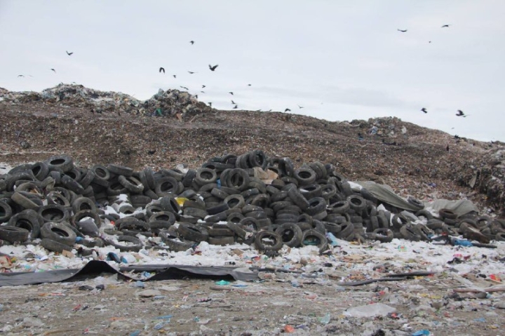 “Spetstrans” in Kamchatka was fined 500 thousand for the burial of tires