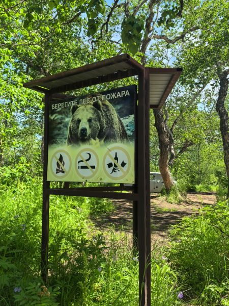 Eco-activists have improved the Vachkazhets mountain range in Kamchatka
