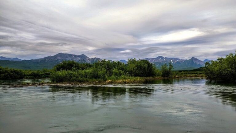 Kamchatka Lake has become a “laboratory” for the evolution of salmon