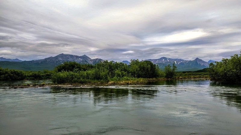 Kamchatka Lake has become a “laboratory” for the evolution of salmon