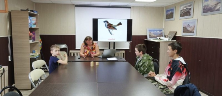 Russia Tackles the Mystery of Its Vanishing Sparrows