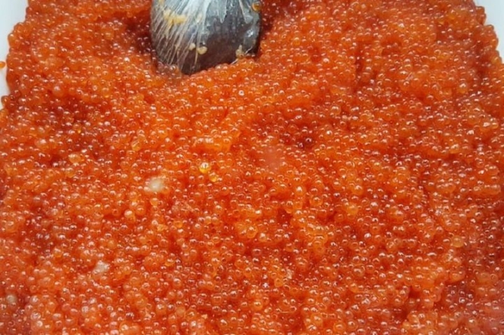 Russia Busts Poachers with 2.7 Tons of Illegal Red Caviar