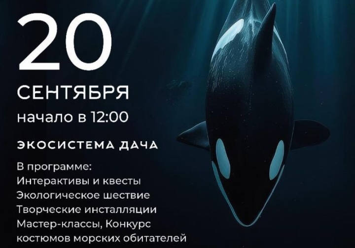 Russia’s Pacific Gateway Hosts ‘Sea of Life’ Festival