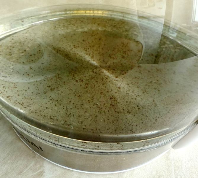 Kamchatka Officials Debunk Volcanic Ash Water Scare