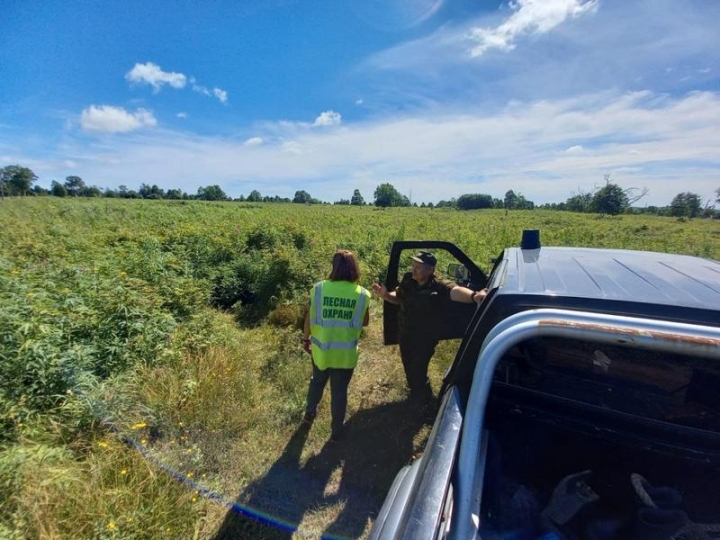 Kamchatka Deploys Drones to Halt ‘Barbaric’ Berry Harvesting