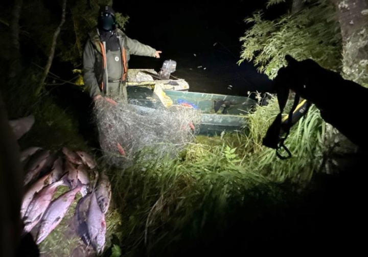 Kamchatka Poaching Crackdown Nets Vast Illegal Salmon Haul