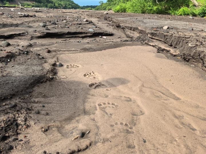 Kamchatka Volcano Bears Prompt Urgent Tourist Warning