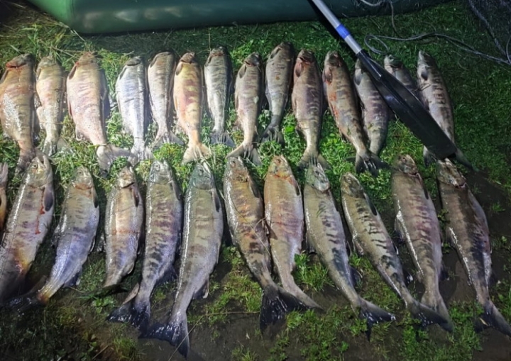 Russia Cracks Down on Salmon Poachers in Wild Kamchatka