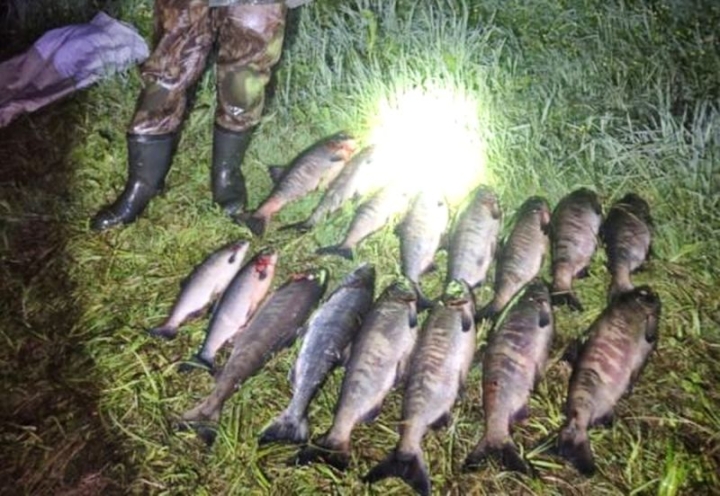 Russia Mounts Major Anti-Poaching Raid in Wild Kamchatka