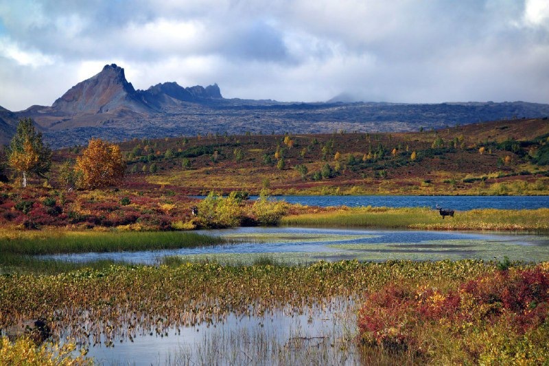 Russia’s ‘Lost Worlds’: Probing Kamchatka’s Ancient Lakes for New Life