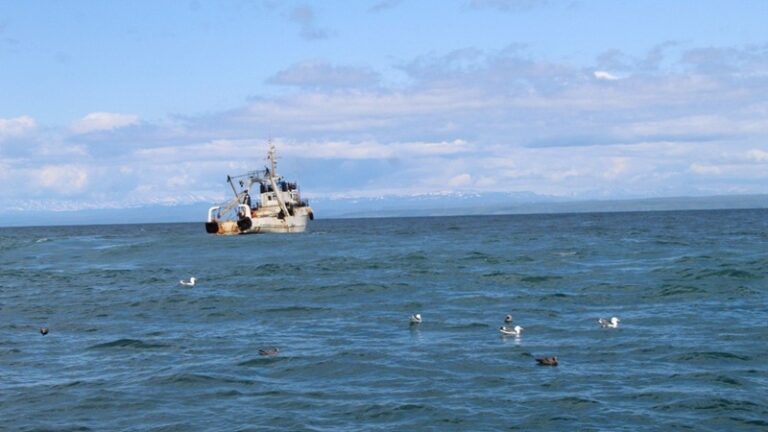 Russia’s Pacific Survey to Define Critical Future Fish Quotas