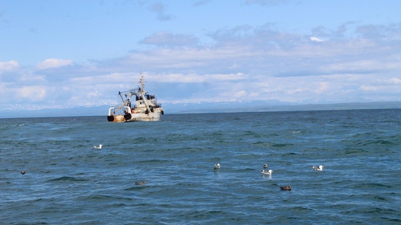 Russia’s Pacific Survey to Define Critical Future Fish Quotas