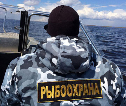 Russia Tackles Poaching in Kamchatka’s Vital Salmon Sanctuary