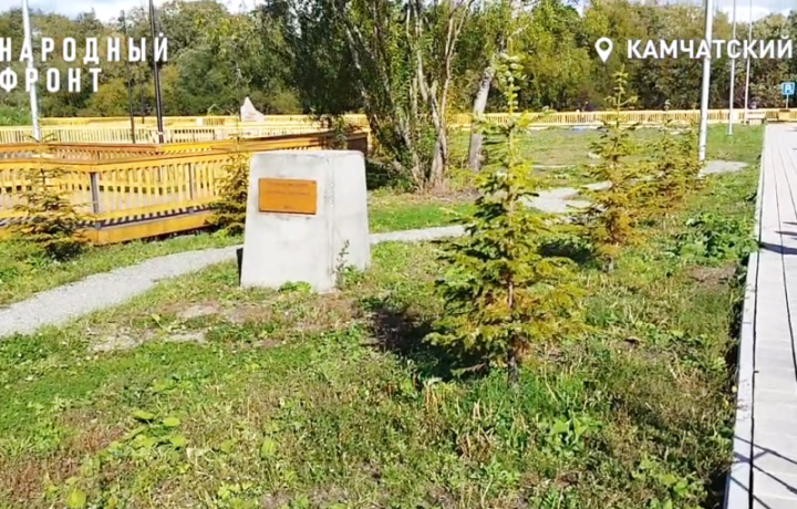 Russian Park Renewal Project Mowed Down in Far East Fiasco