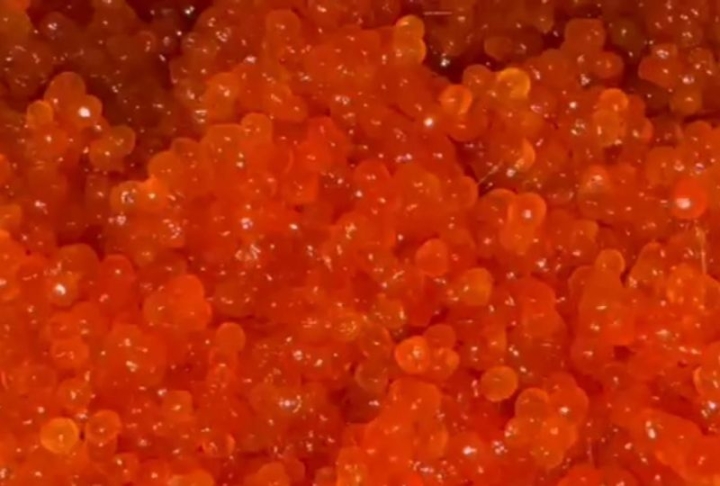 Kamchatka Poaching Crisis: 6 Tons of Caviar Seized in a Week