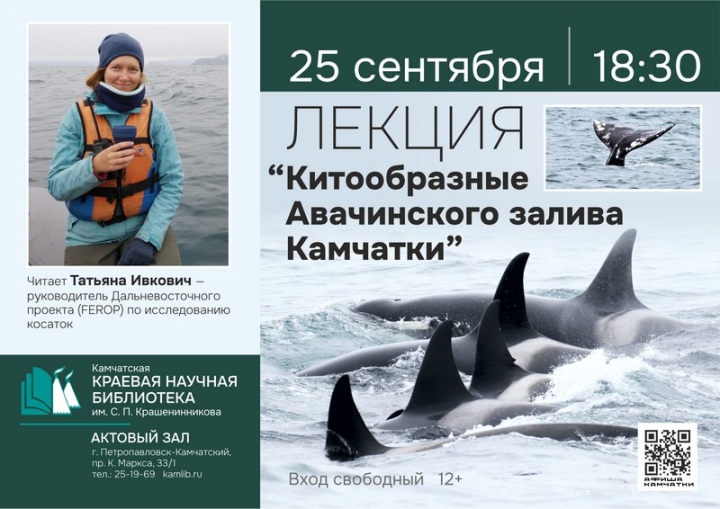 Russian Scientists to Reveal Secrets of Kamchatka’s Whales