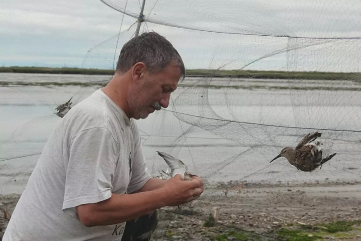 Russia’s Far East: A Vital Hub for Global Bird Migration